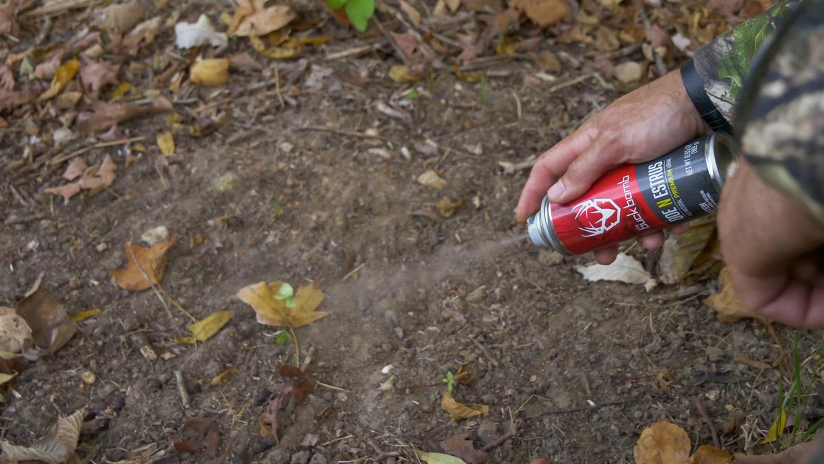 Buck Bomb Scent  Hunter Specialties